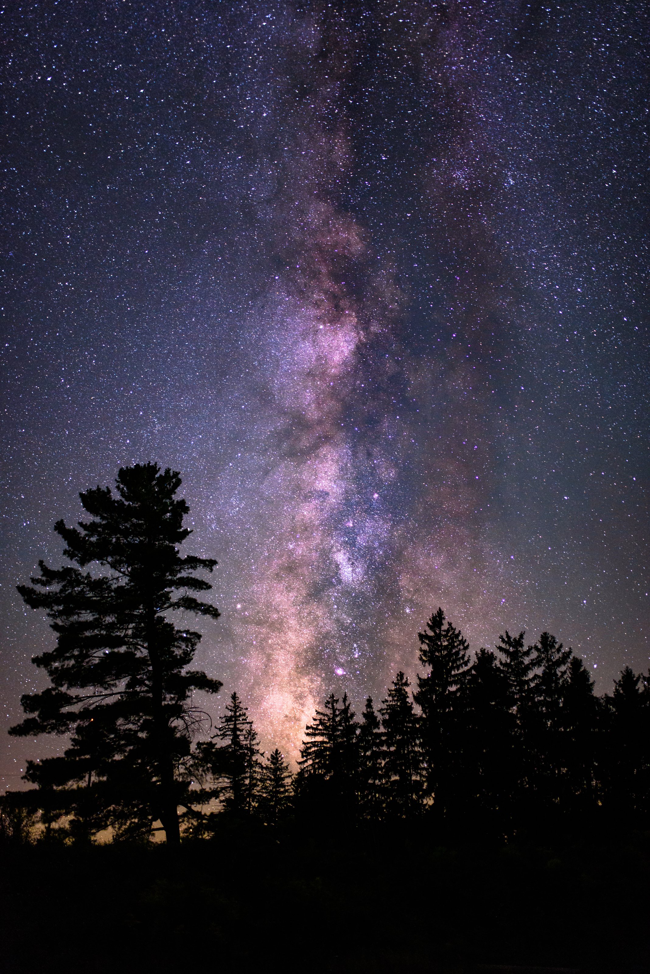 A Million Stars over Adirondack Pines