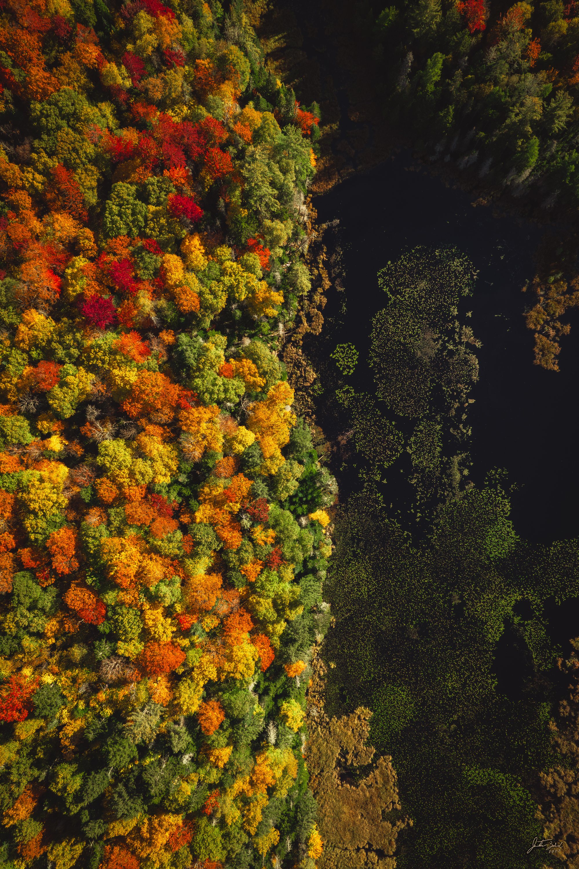 Aerial View over Cherry Patch Pond