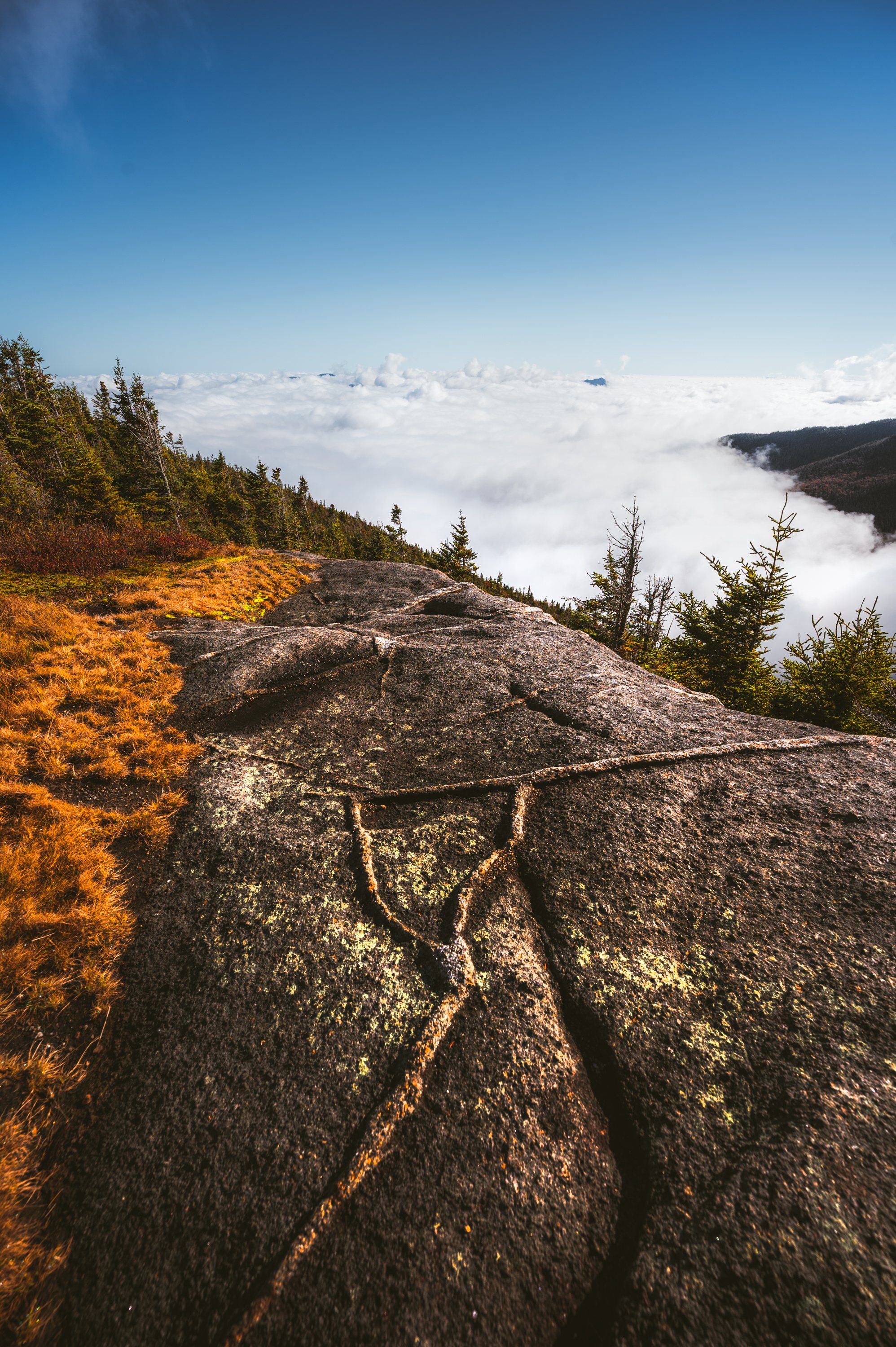 Above the Clouds on Cascade