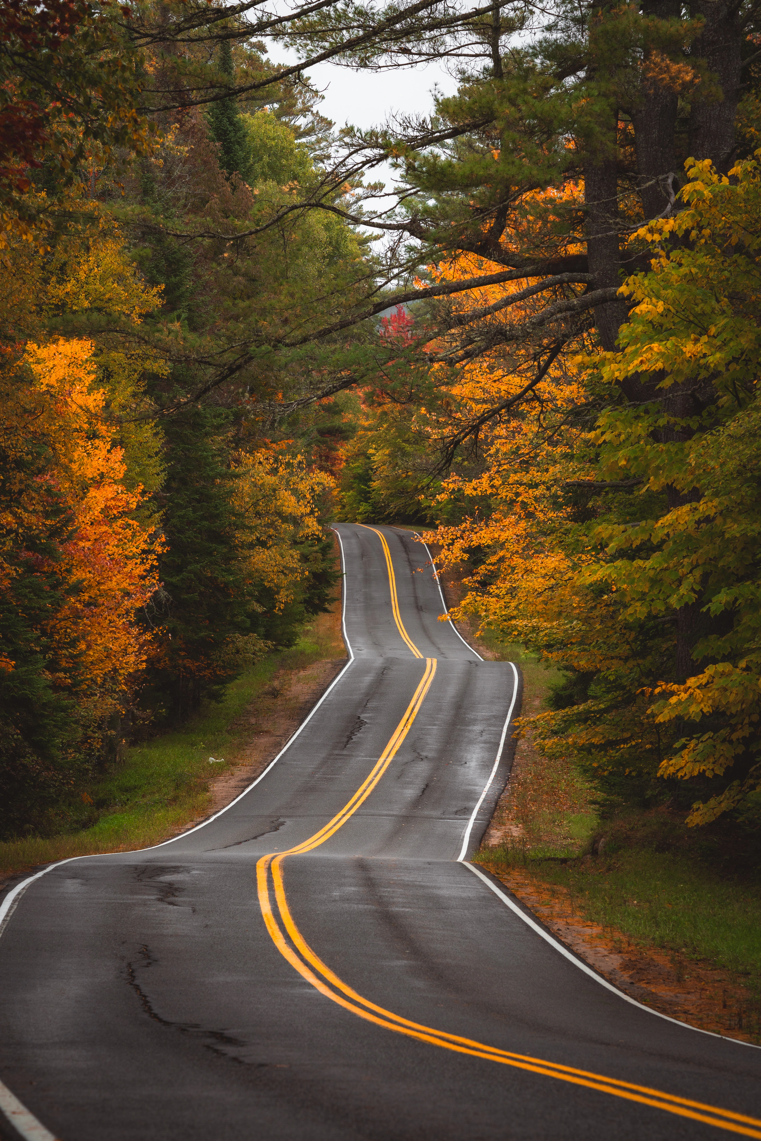 River Road winds through the autumn forest near Franklin Falls. River Road near Franklin Falls, Adirondacks, New York.