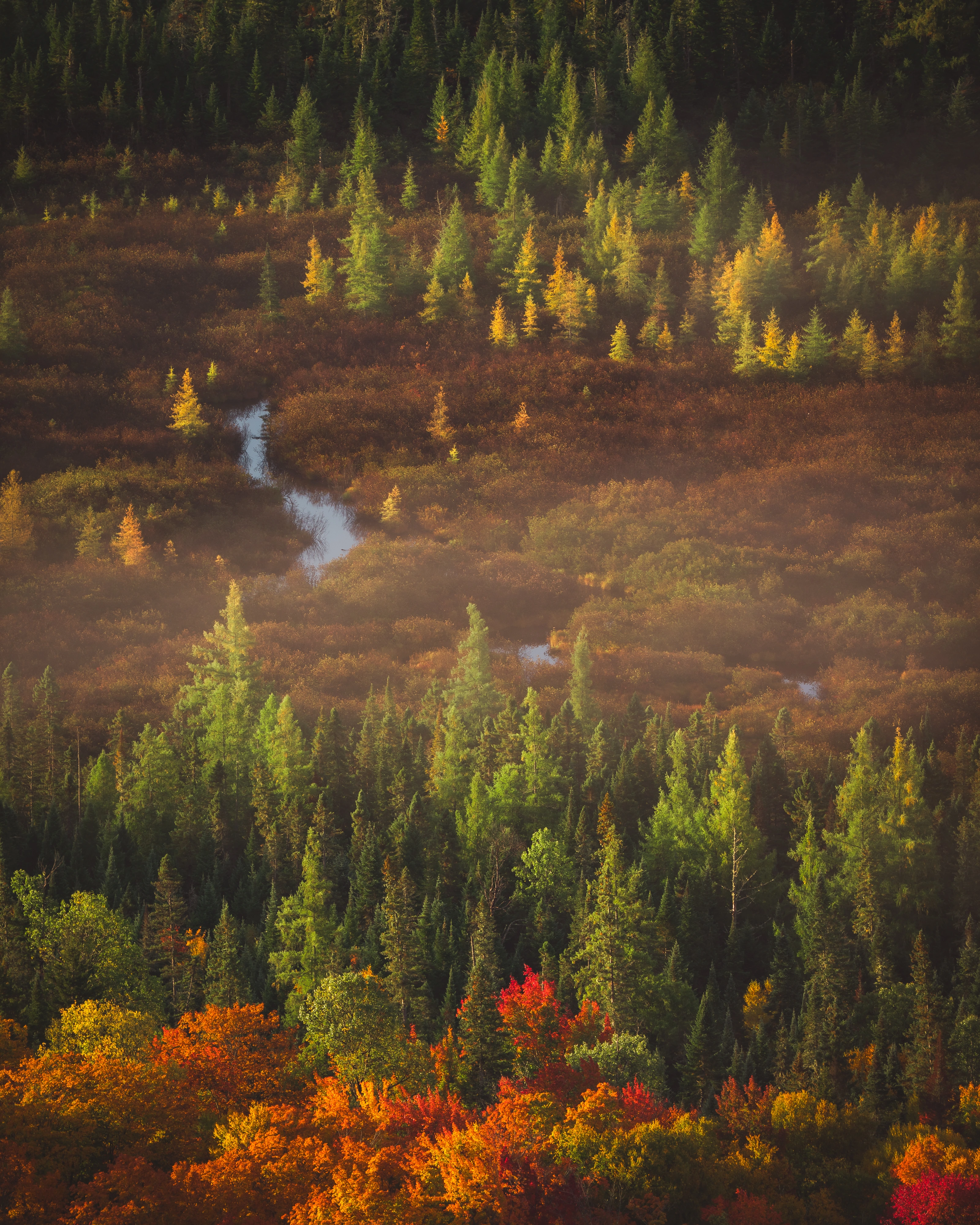 From Van Hoevenberg, I picked out a small corner of South Meadow as the light arrived. Mount Van Hoevenberg, Adirondack High Peaks, New York.
