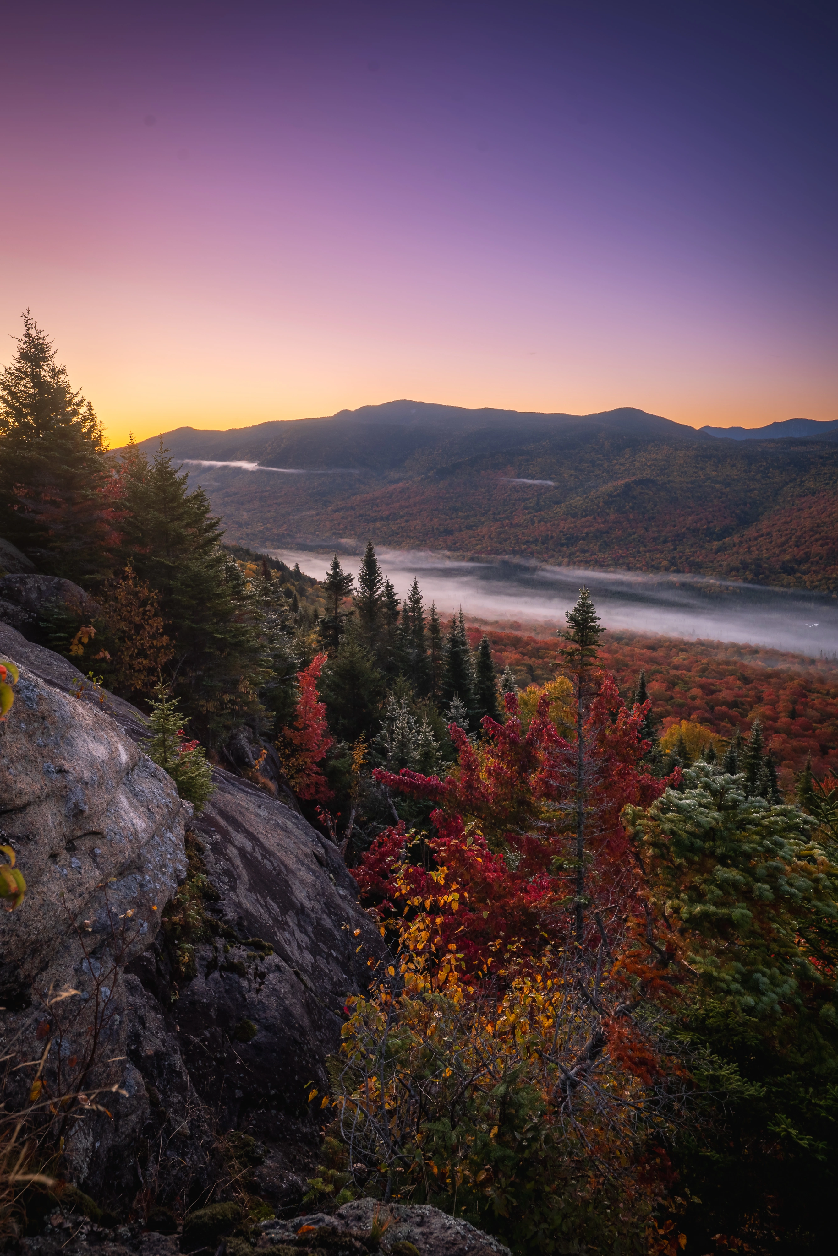 The sky turns violet and gold before sunrise over South Meadow and the back of Big Slide. Mount Van Hoevenberg, Adirondack High Peaks, New York.