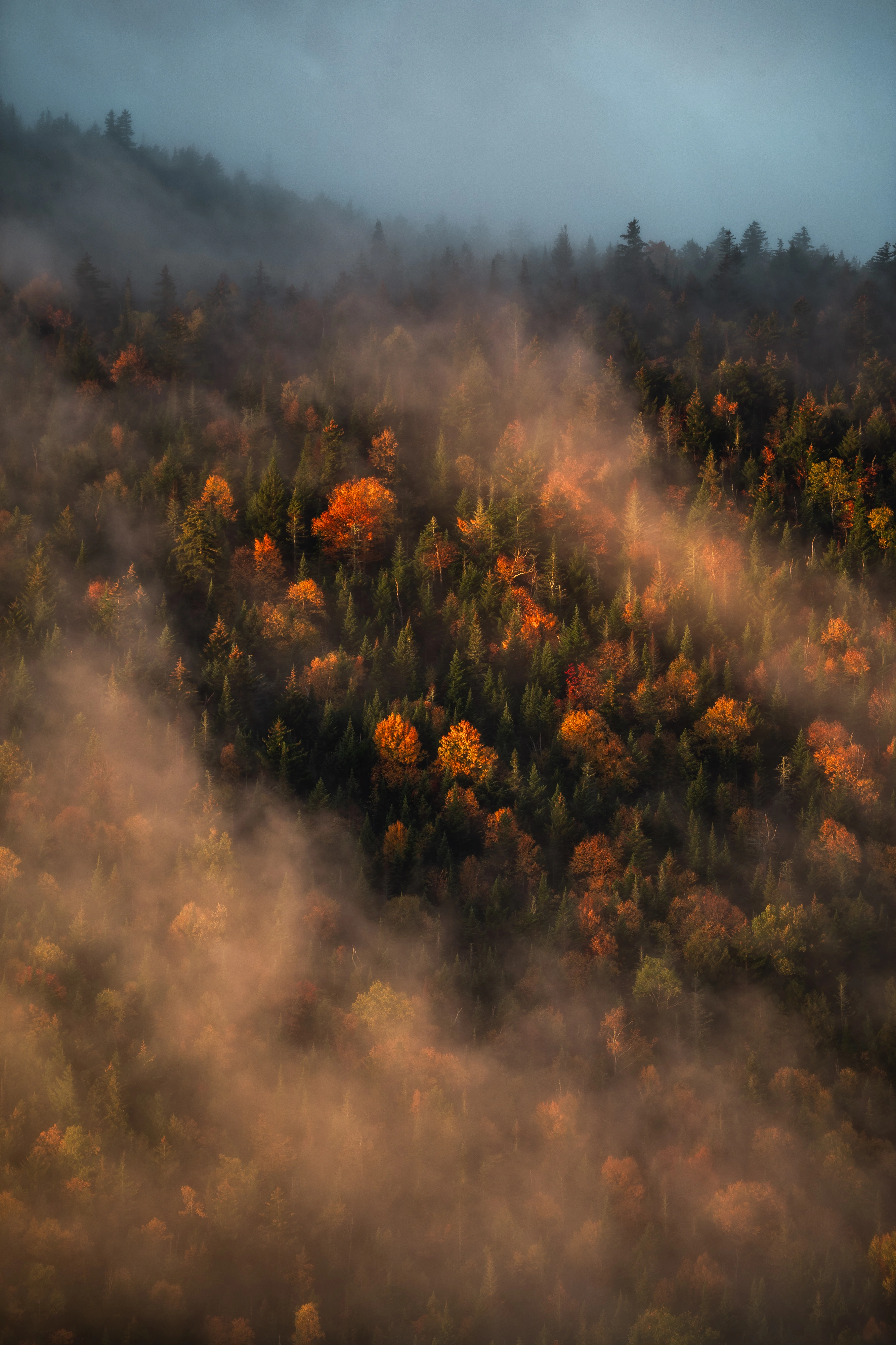 From the Nubble, I watched fog roll over Round Mountain's shoulder. Giant's Nubble, Giant Mountain region, Adirondacks, New York.