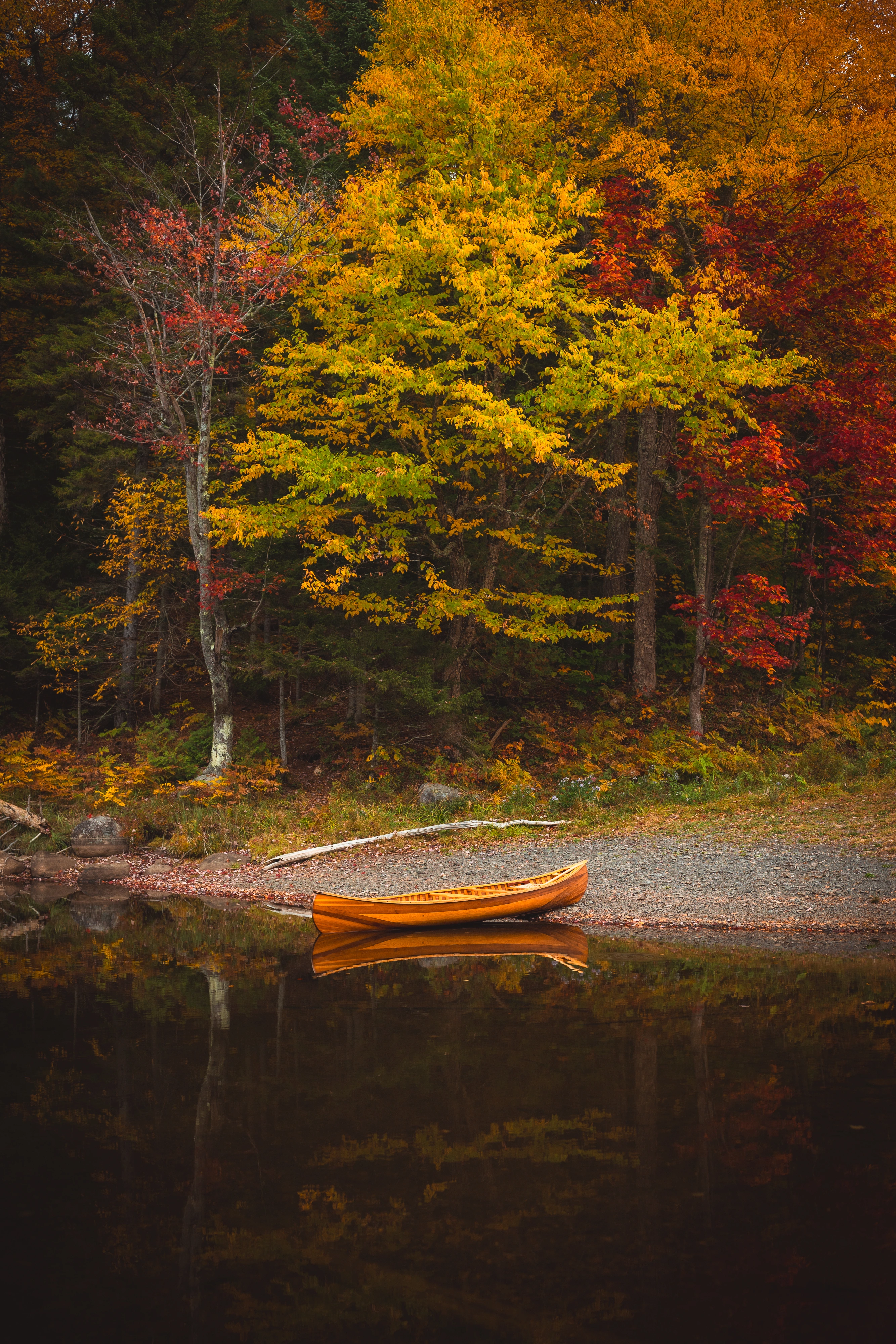 From across the inlet, the wooden canoe becomes a small golden line beneath the forest. Henderson Lake, Adirondack High Peaks, New York.