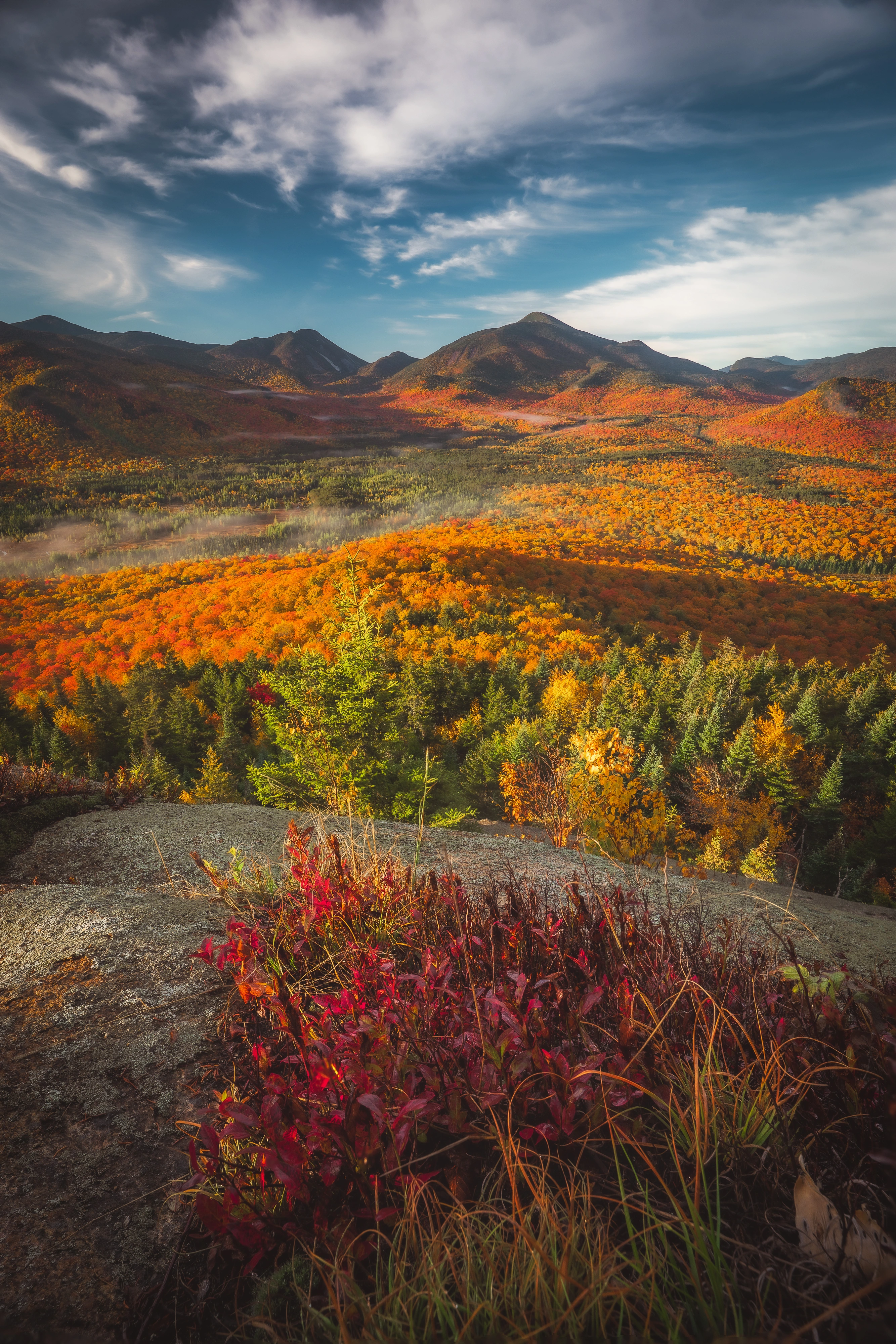 Red blueberry-family foliage fills the foreground above a valley glowing with autumn color. Mount Van Hoevenberg, Adirondack High Peaks, New York.