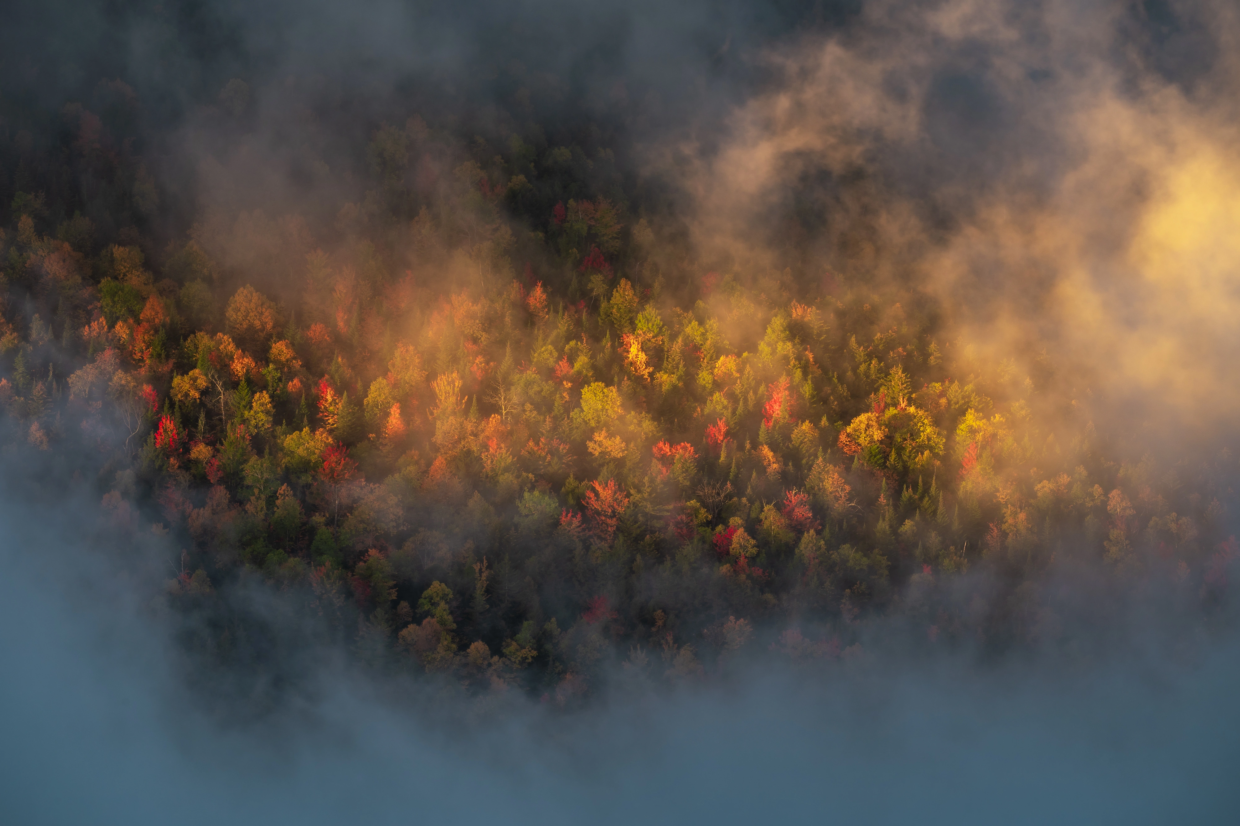 Sunlight filters through moving fog onto the trees along Round Mountain's shoulder. Giant's Nubble, Giant Mountain region, Adirondacks, New York.