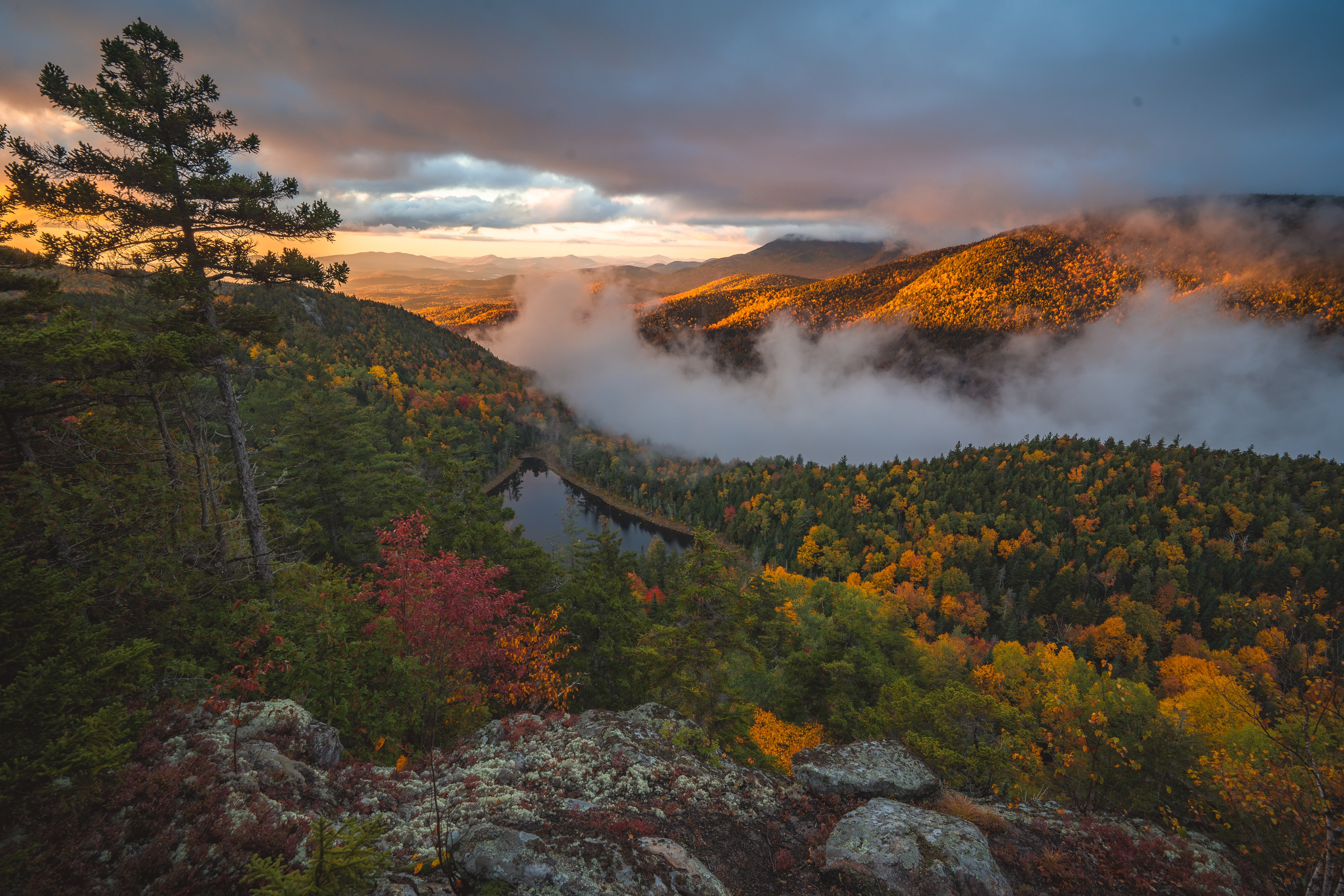 A summit pine frames the Washbowl as the morning sun lights a forested shoulder. Giant's Nubble, Giant Mountain region, Adirondacks, New York.