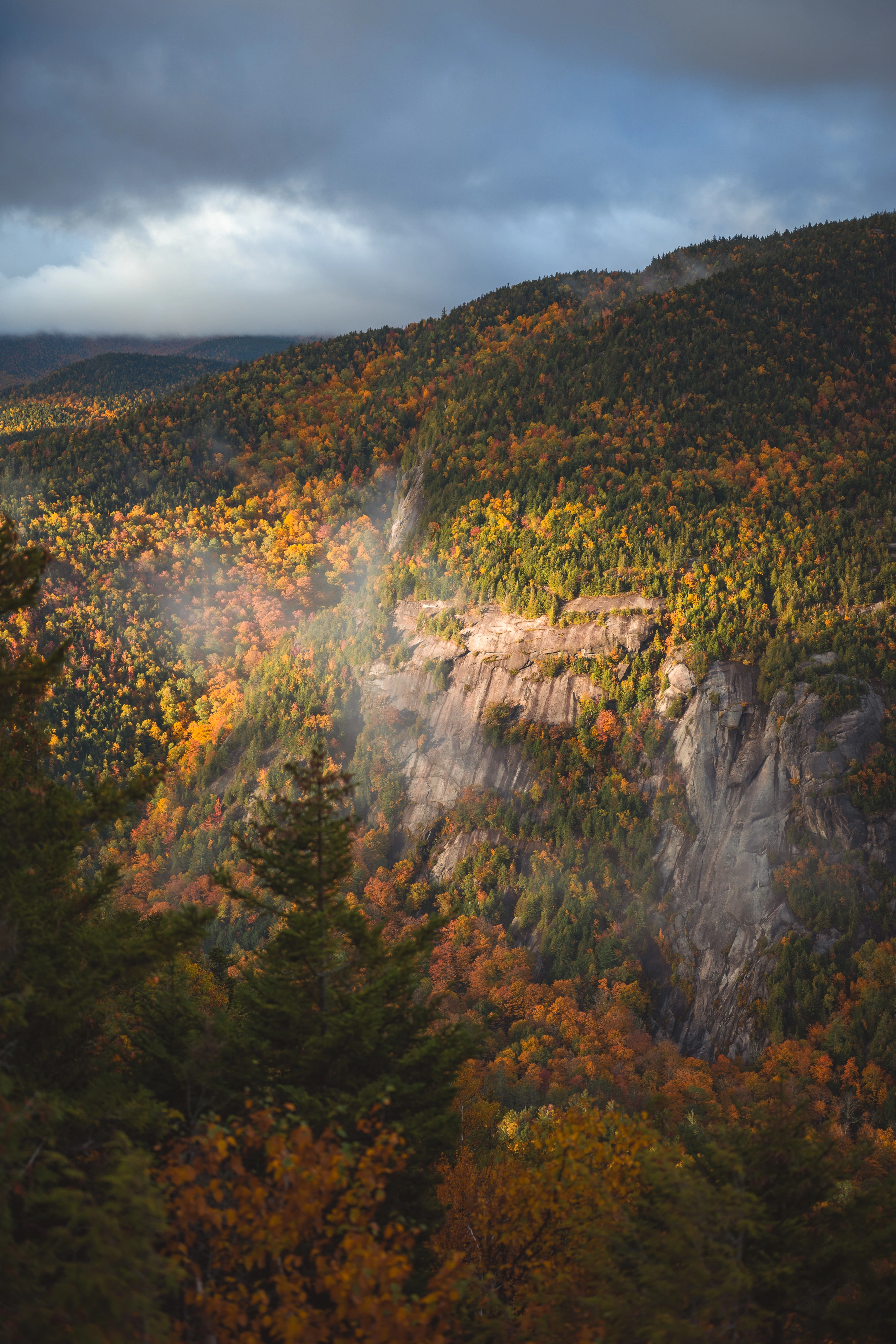 A close view picks out the pale Chapel Pond slabs among autumn trees. Chapel Pond Slabs, Adirondacks, New York.