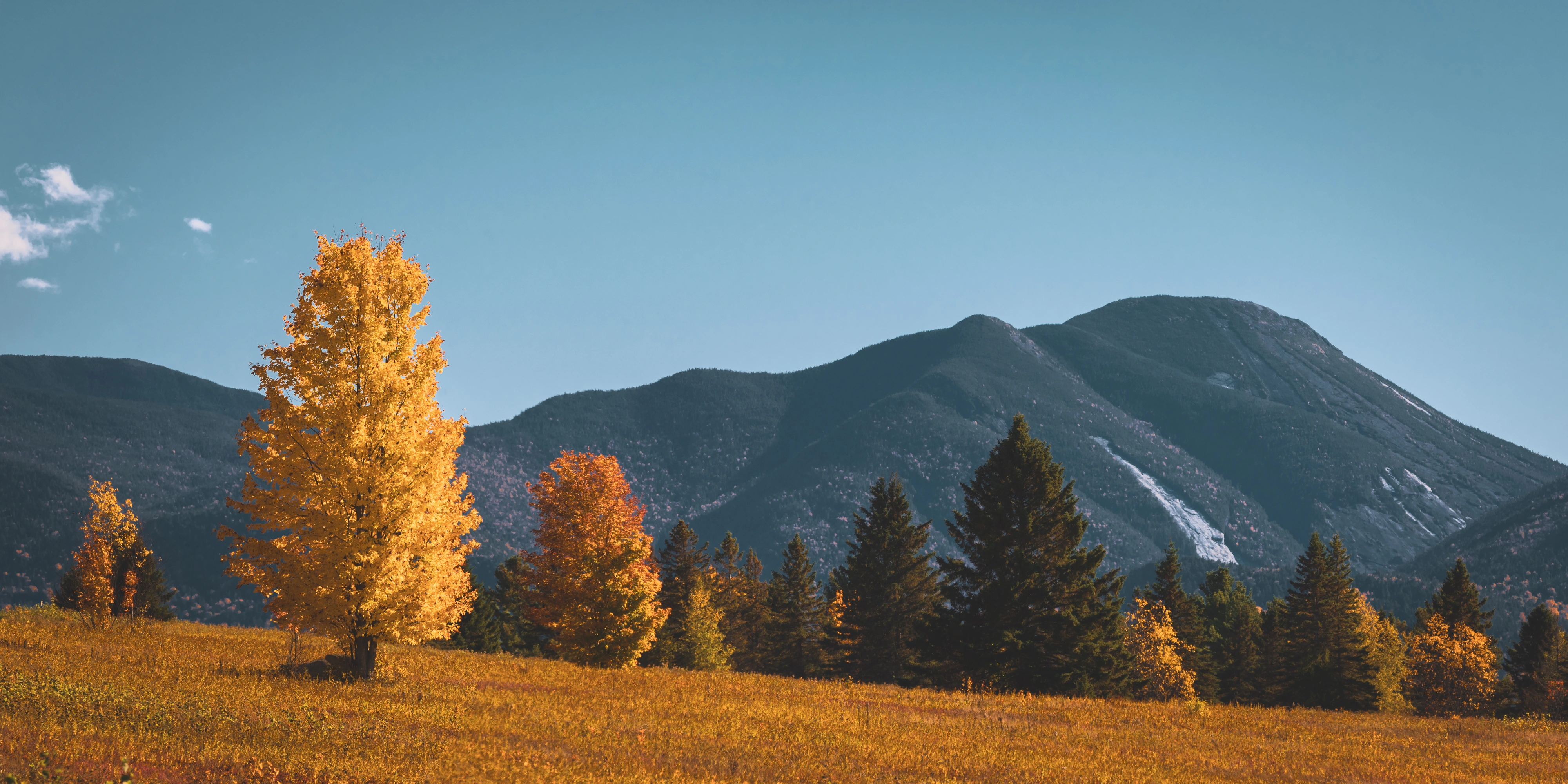 This wider view follows the golden meadow from the yellow maple toward Mount Colden on the right. Plains of Abraham, Adirondack Loj Road, Adirondack High Peaks, New York.