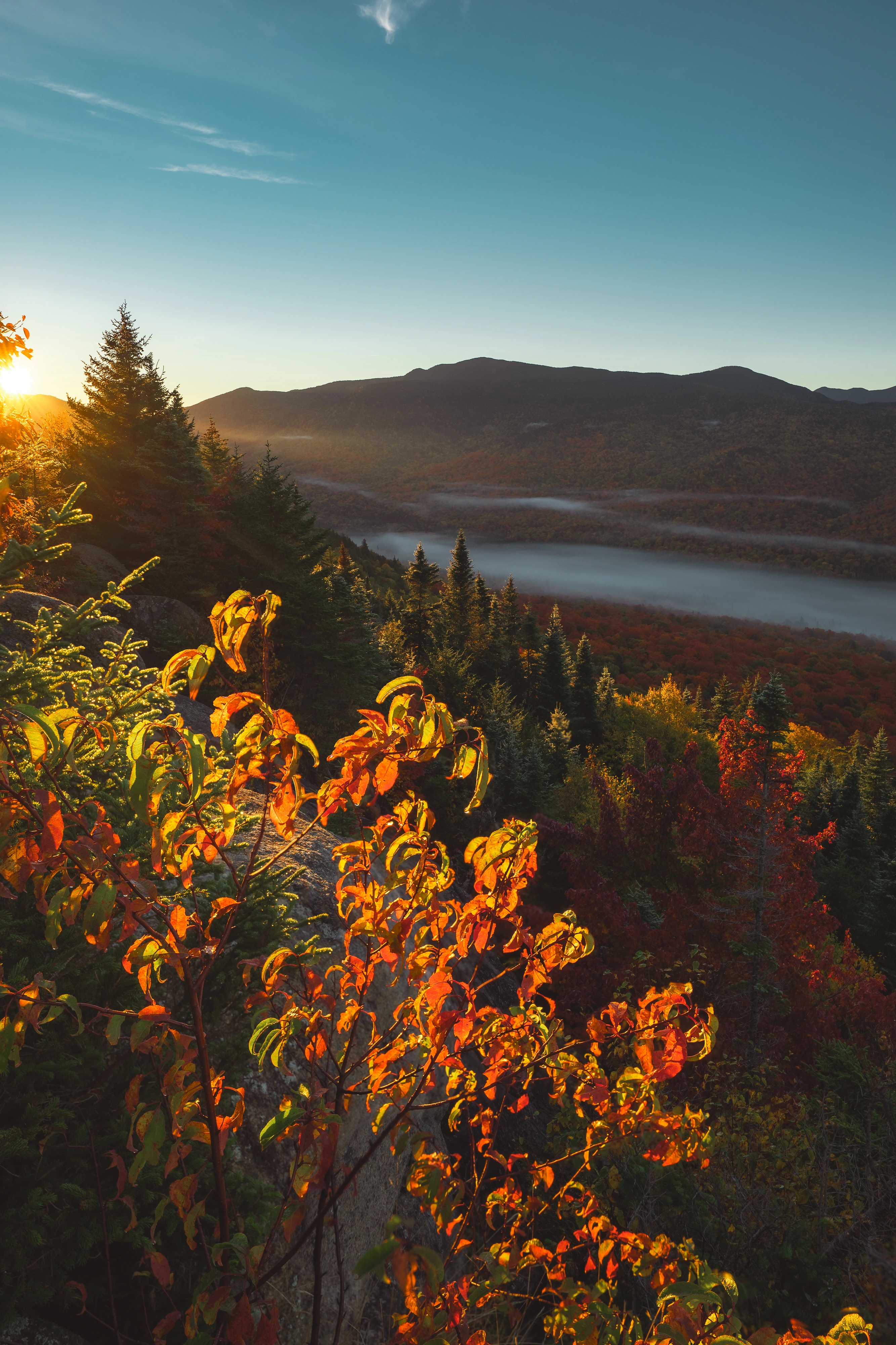 The rising sun catches a small foreground tree above a ribbon of valley fog. Mount Van Hoevenberg, Adirondack High Peaks, New York.