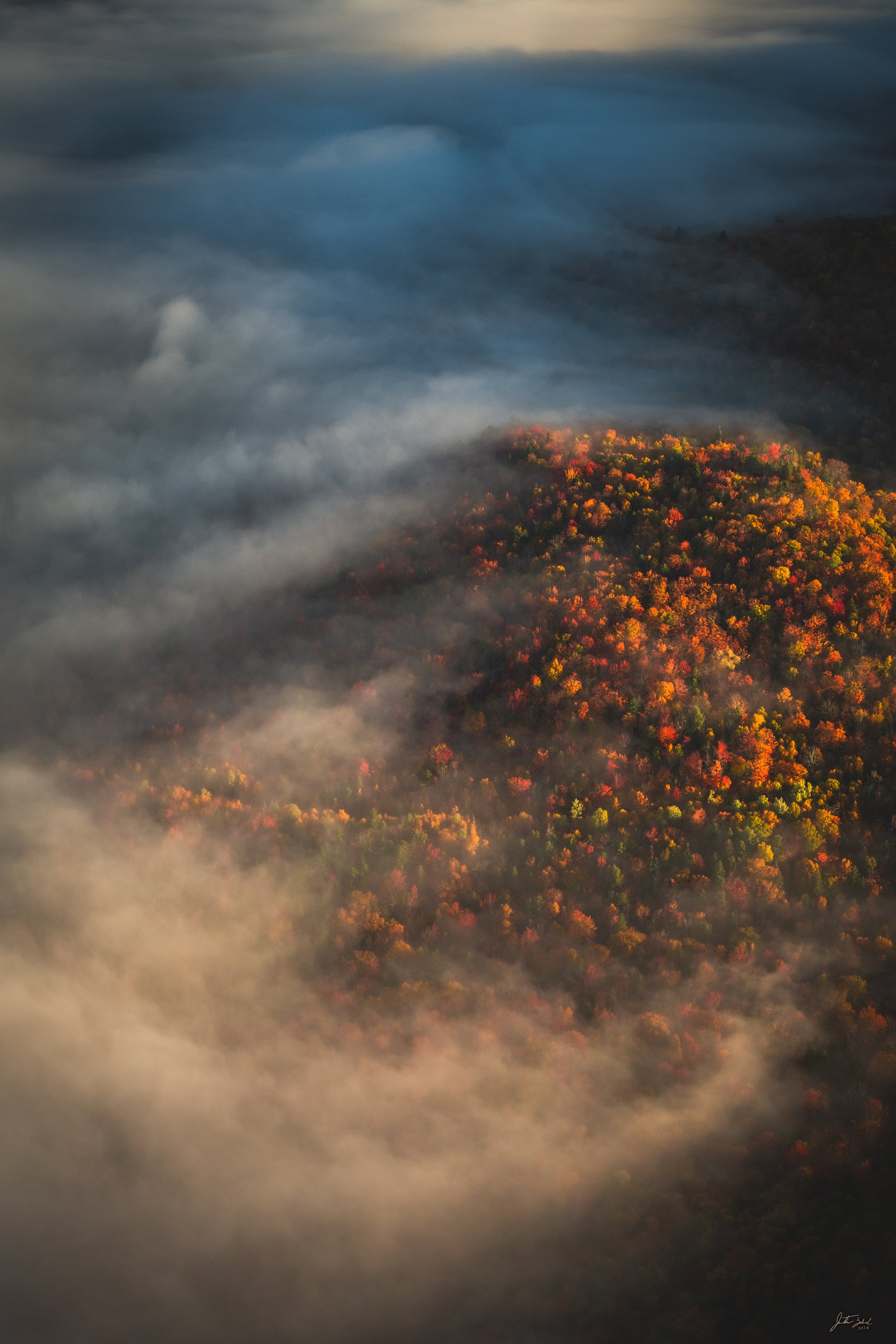 Autumn Foliage Rising Above the Clouds