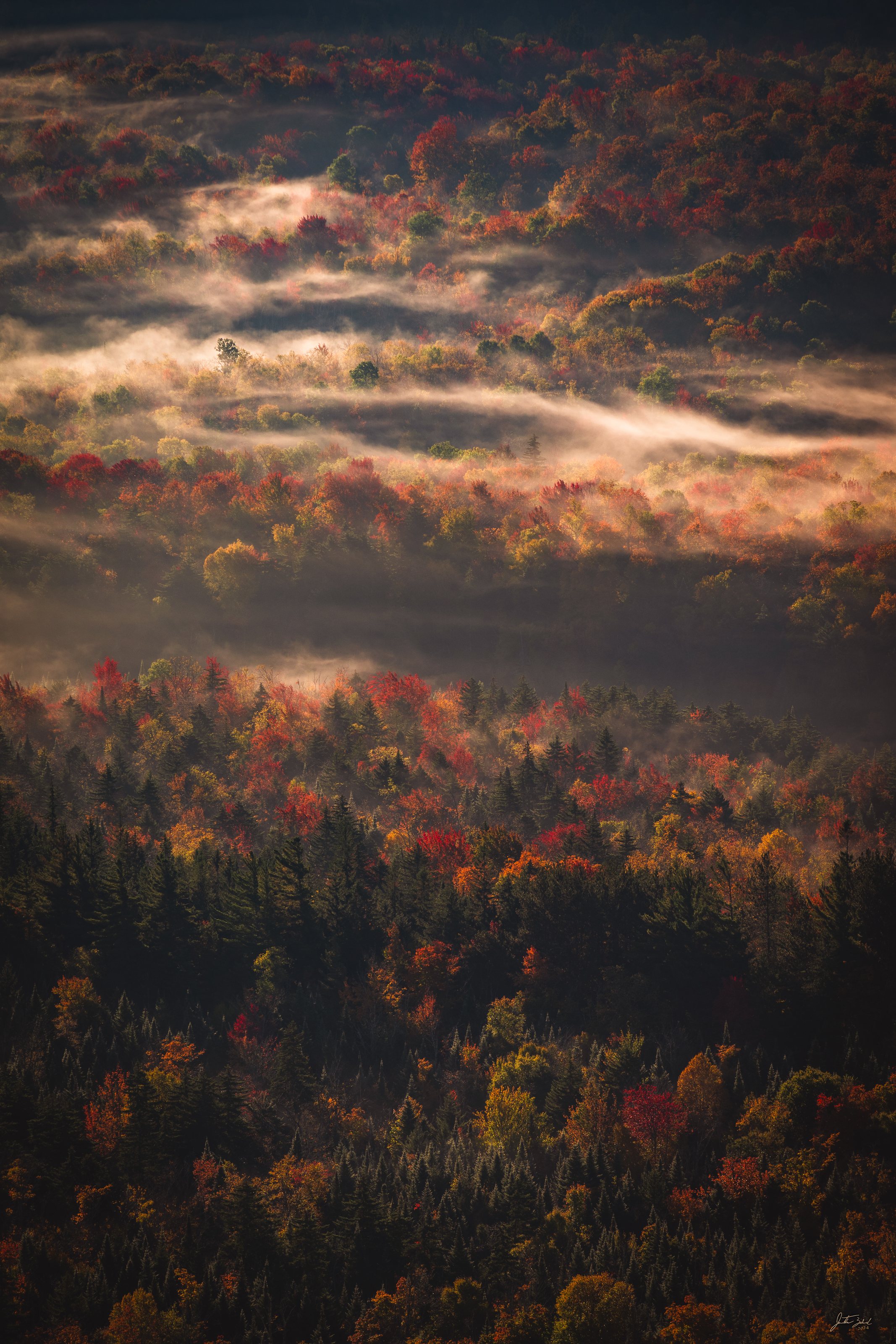 Fog and Morning Light in Heart Lake Valley
