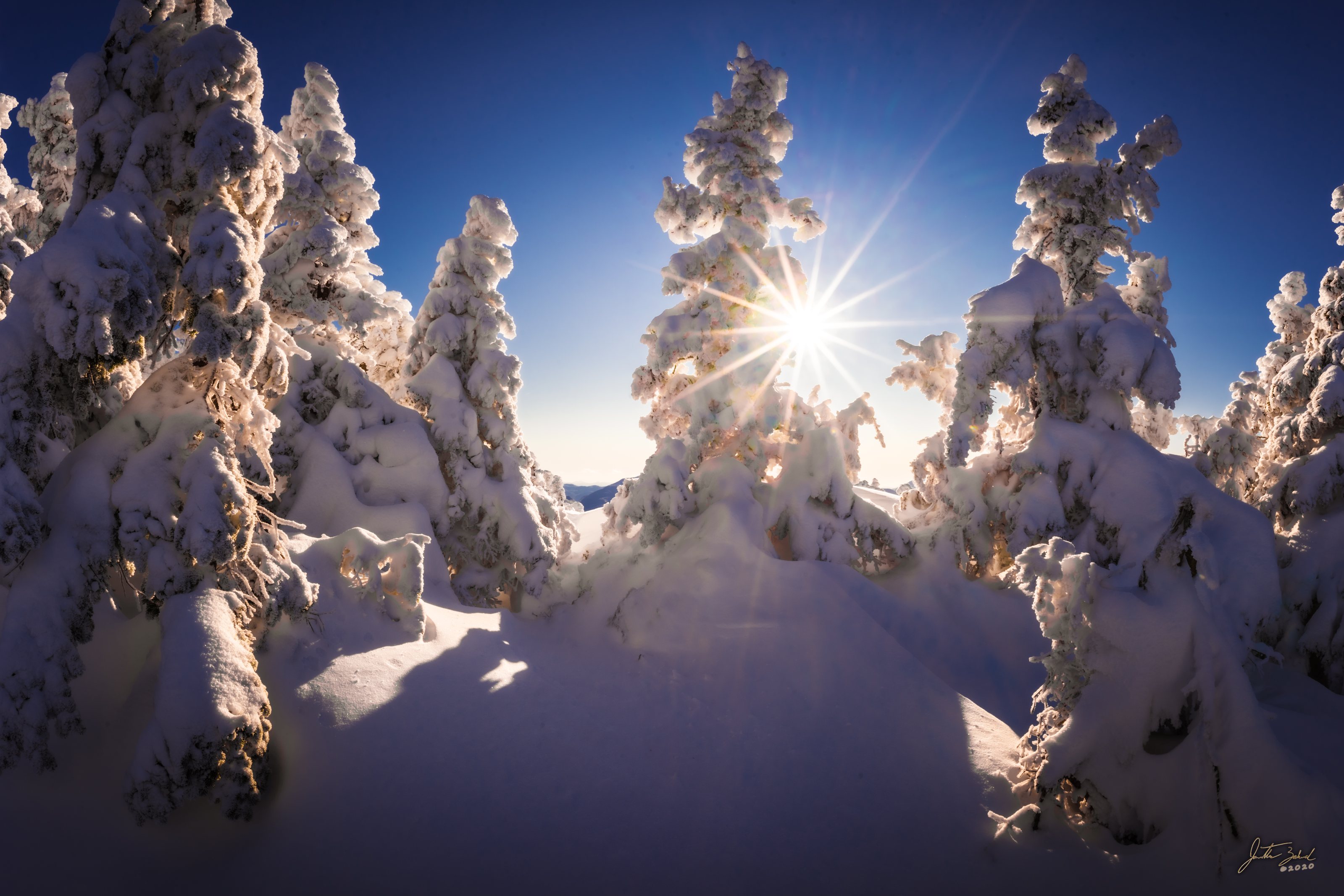 Snowy Summit Trees on Giant Mountain