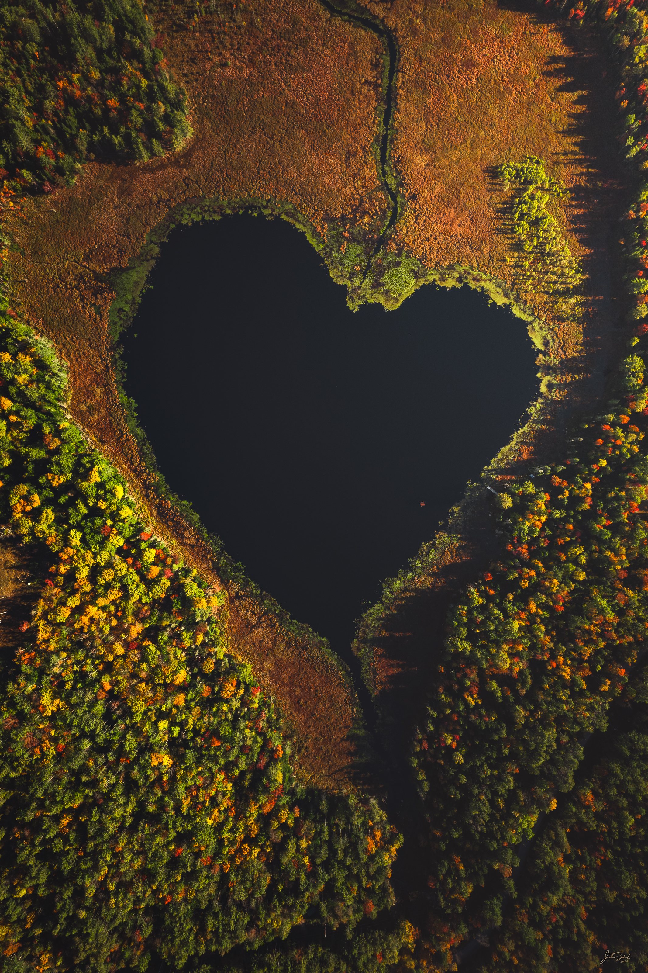 Heart-Shaped Lake from Above