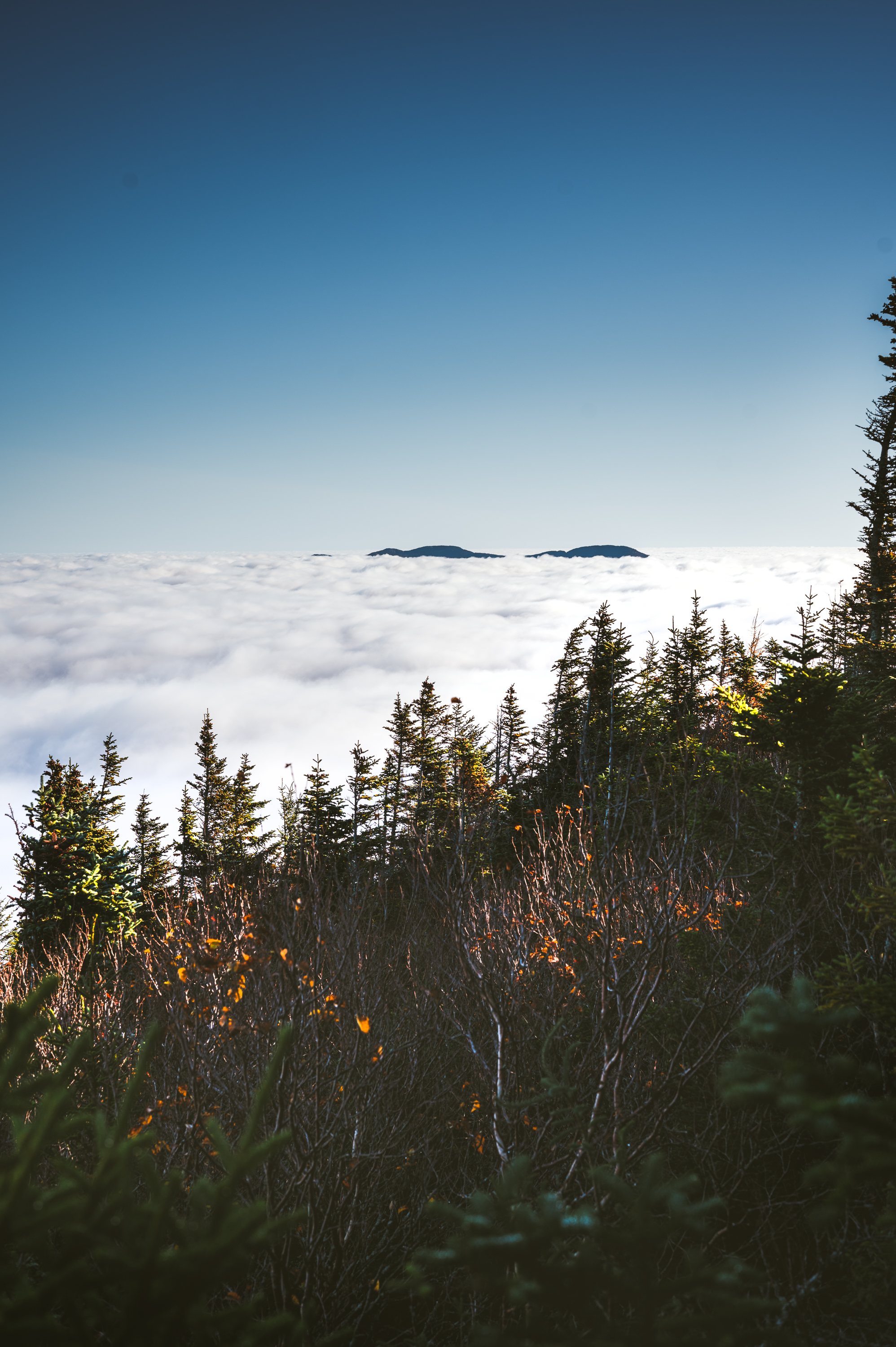 Jay Mountain Above the Clouds from Porter