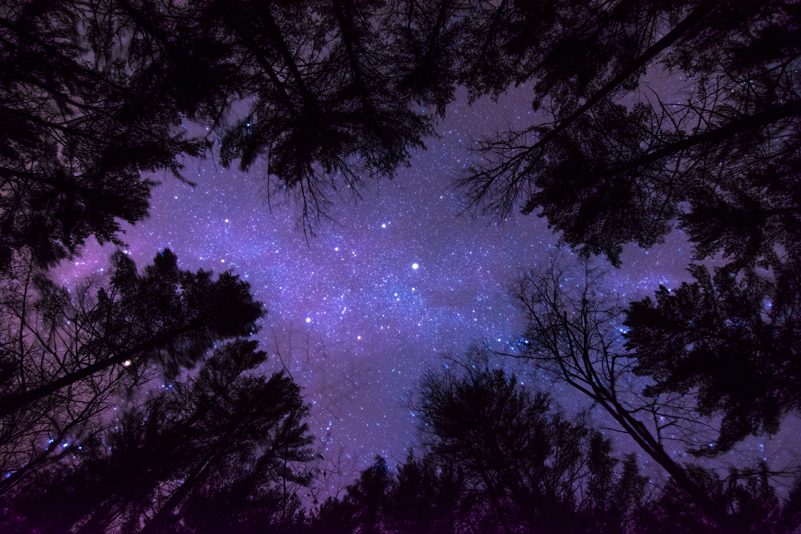Oliver Pond under the Night Sky