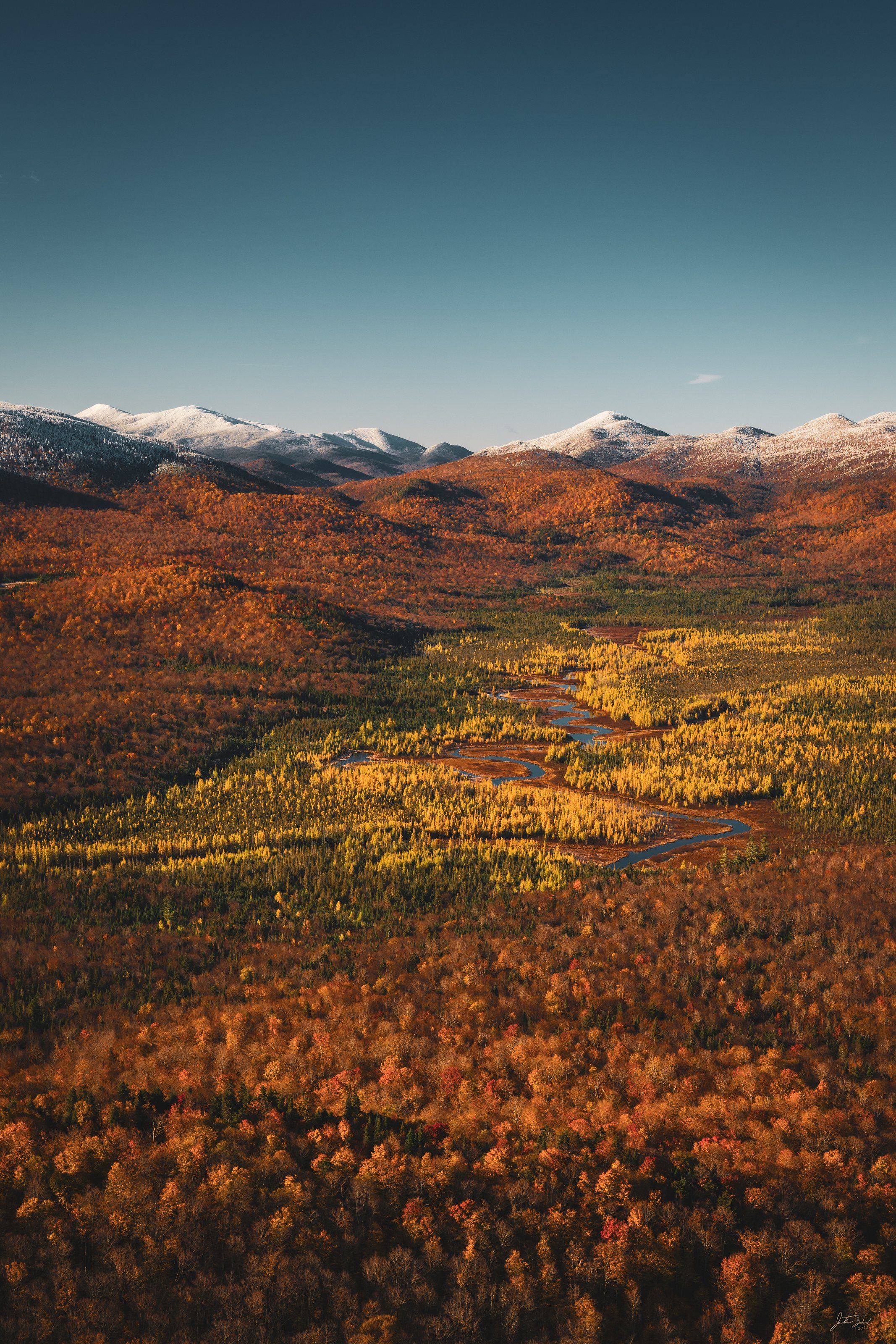Tamaracks and Snow on the Chubb River