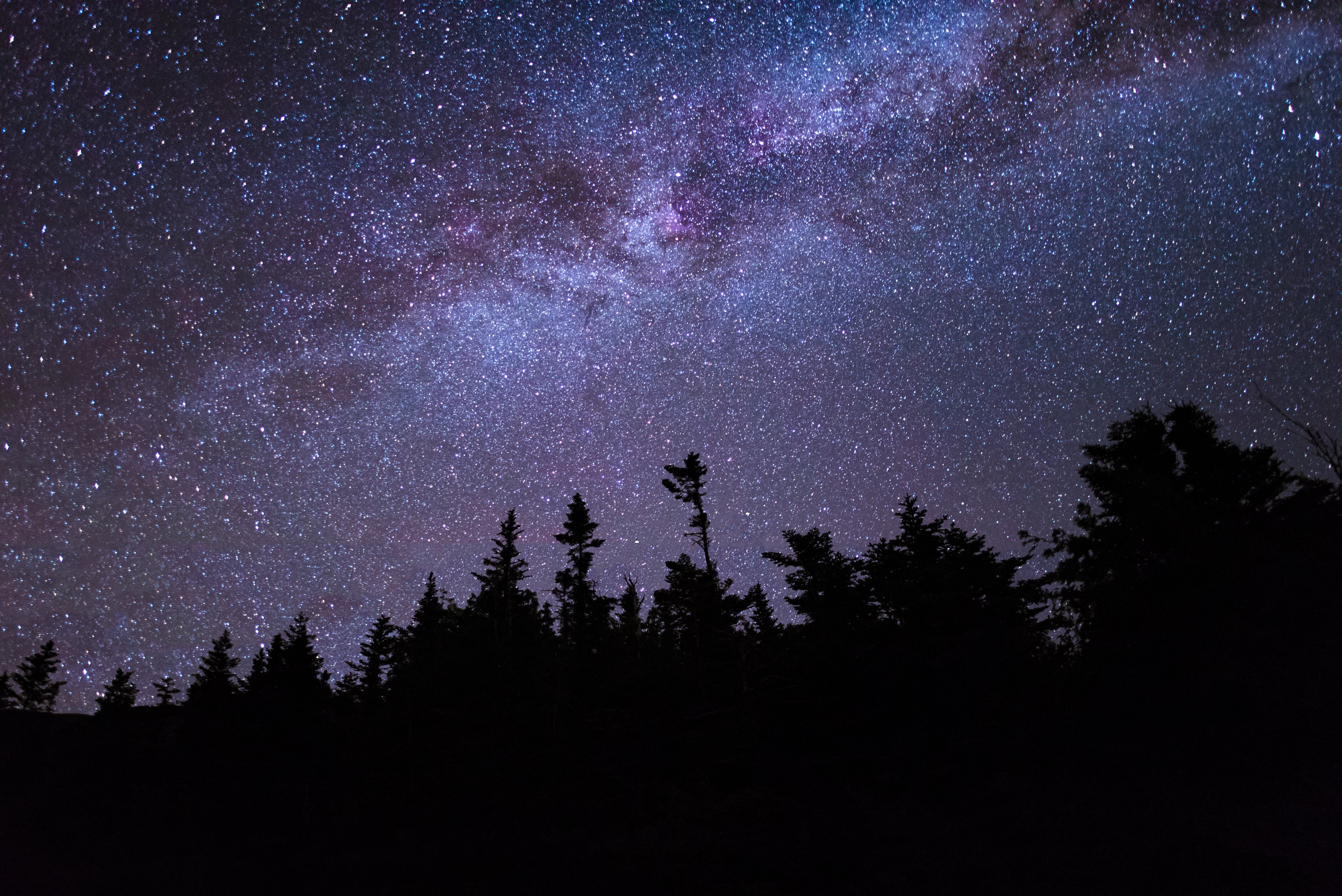 Stars above an Adirondack Treeline