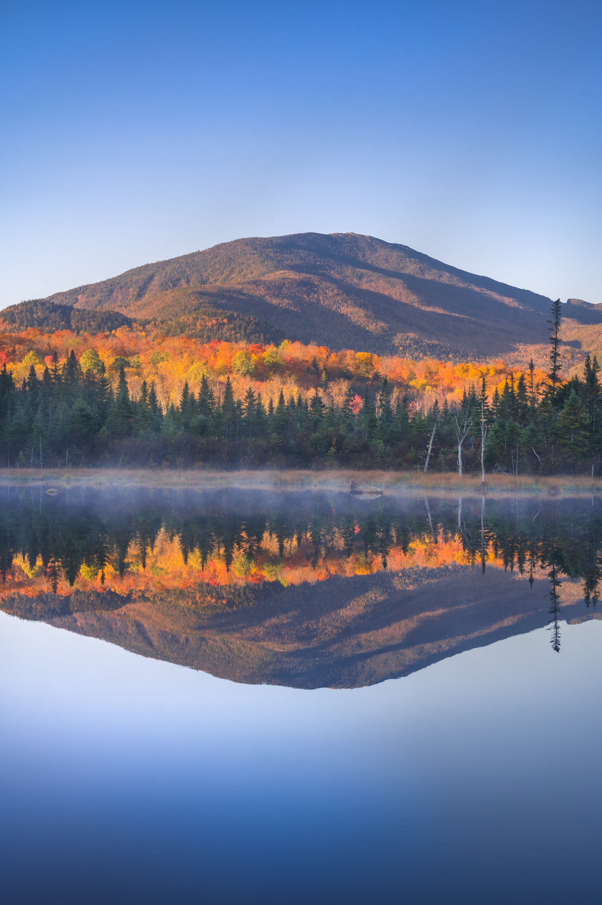 Remote Pond Sunrise and MacIntyre Range